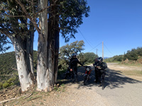 Collobrières